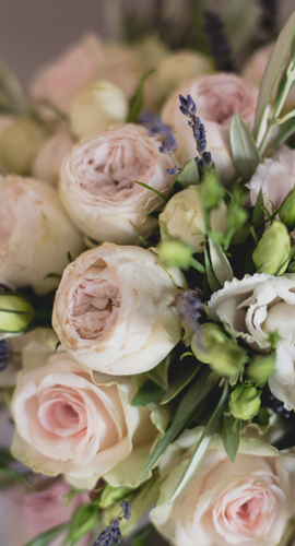 gros plan sur un bouquet de roses